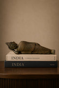 Resting Buddha – Shayan