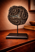 Solar Paisley Relic - Edition Size / 1-of-1